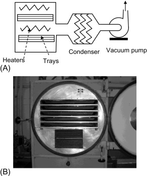 freeze drying