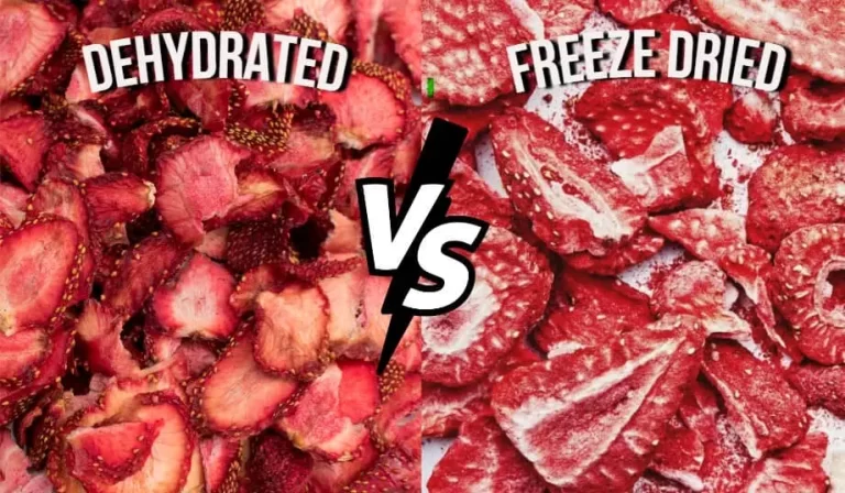 Freeze Dryer vs Dehydrator